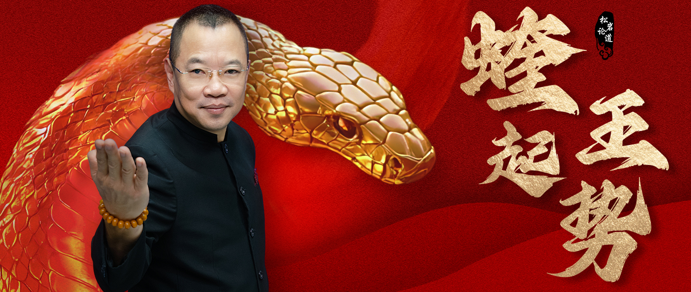 【松岩论道】之蝰王起势（修炼者）